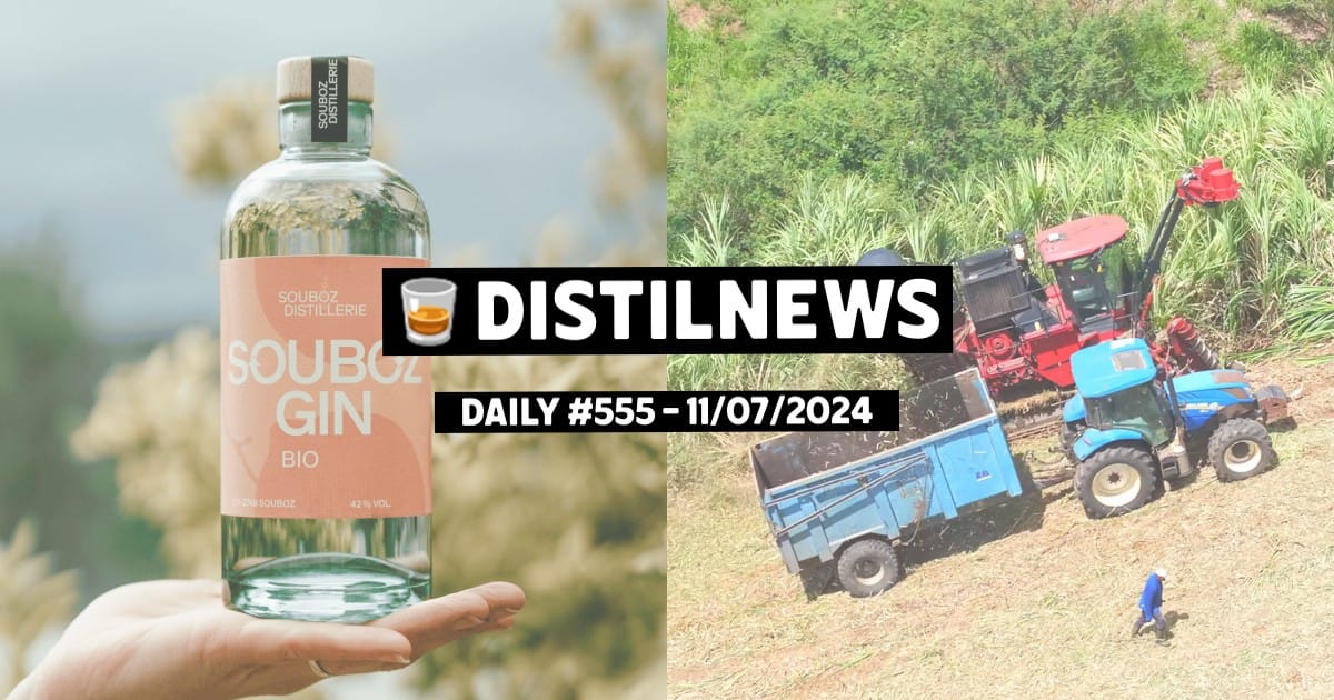 DistilNews Daily #555