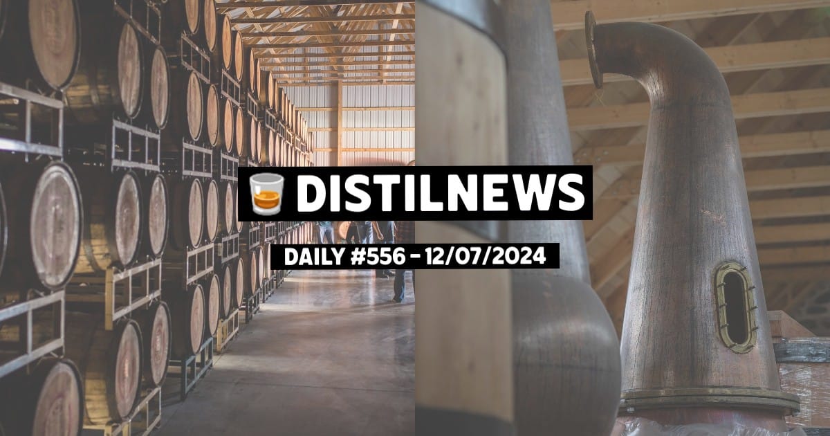 DistilNews Daily #556