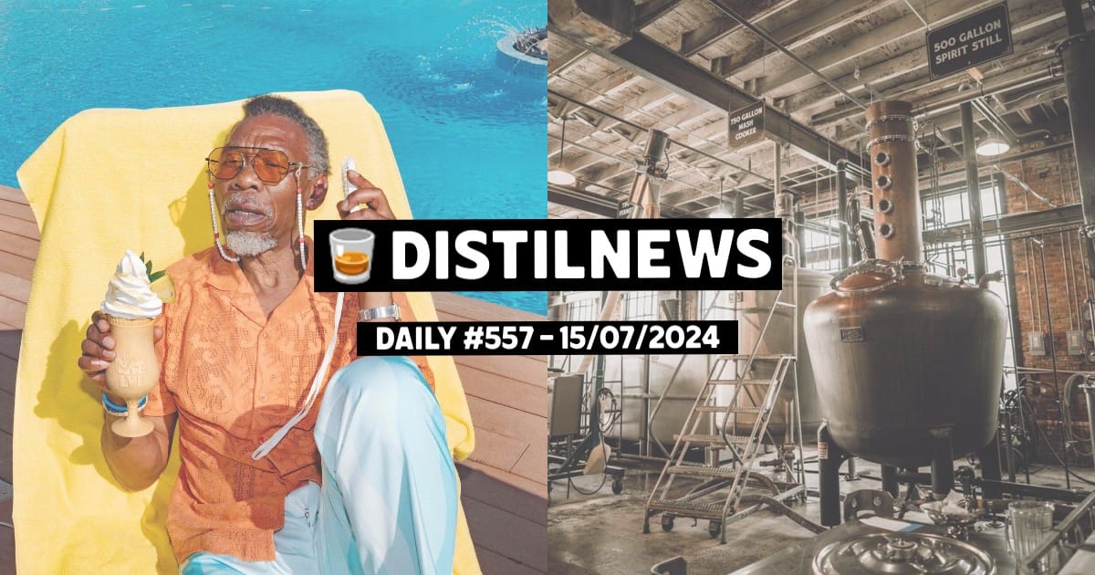 DistilNews Daily #557