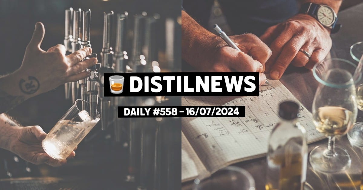 DistilNews Daily #558