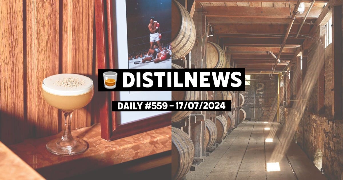 DistilNews Daily #559