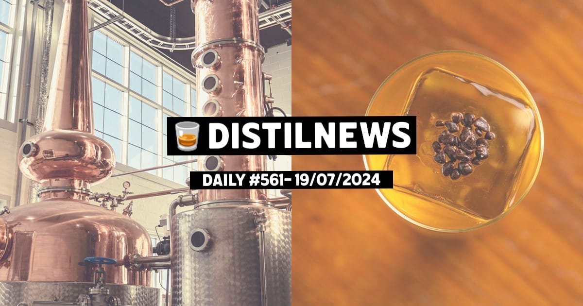 DistilNews Daily #561