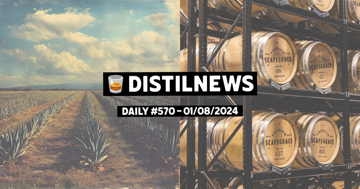 DistilNews Daily #570