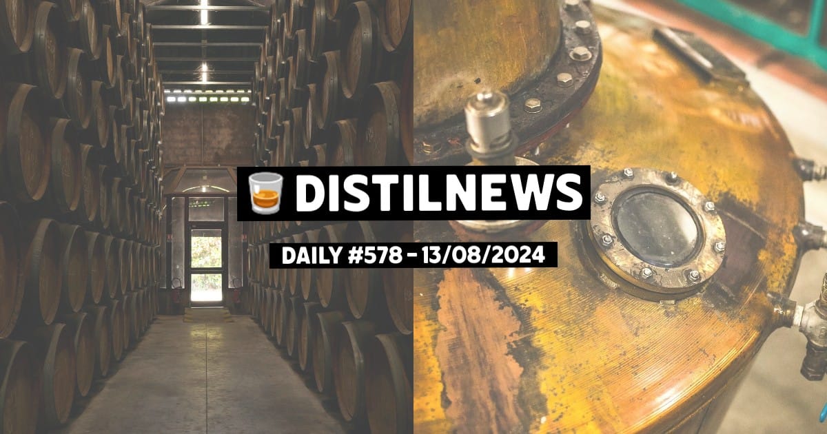 DistilNews Daily #578