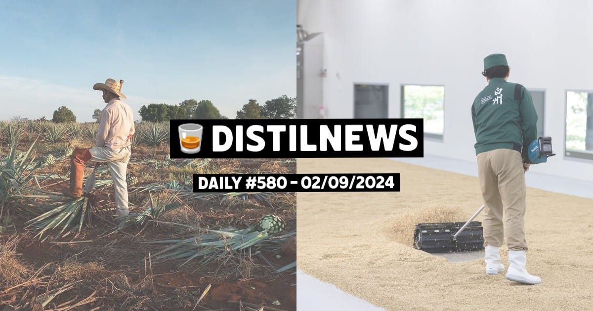 DistilNews Daily #580