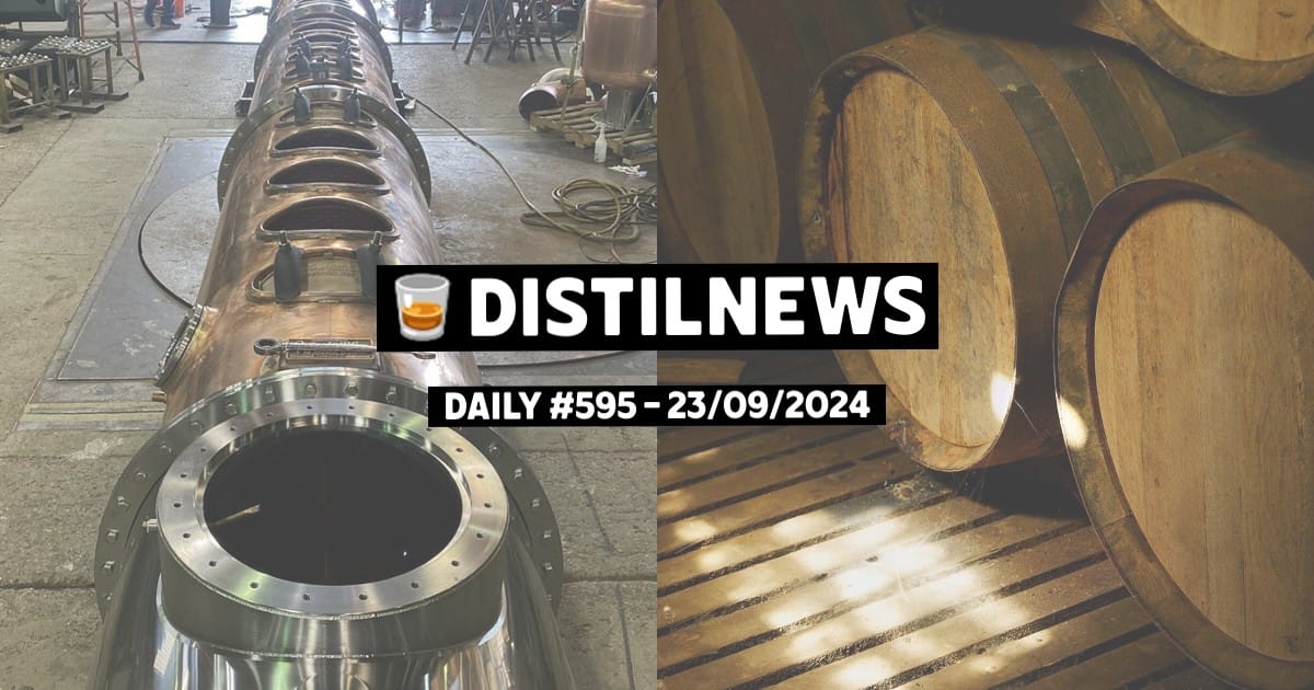 DistilNews Daily #595