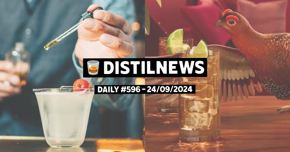 DistilNews Daily #596