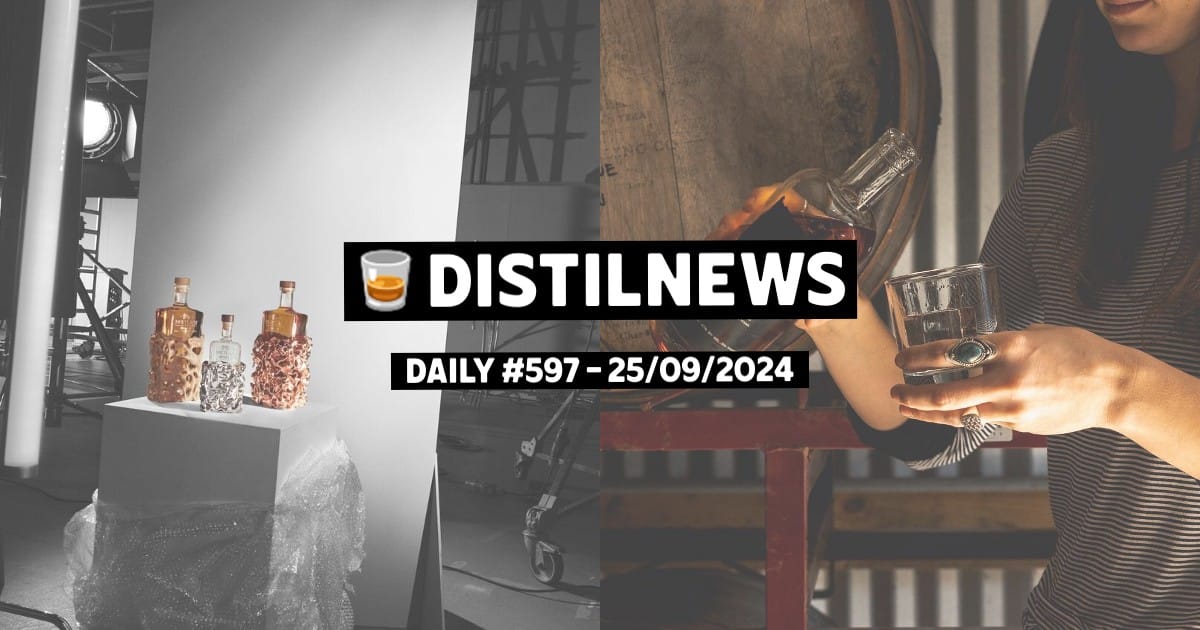 DistilNews Daily #597