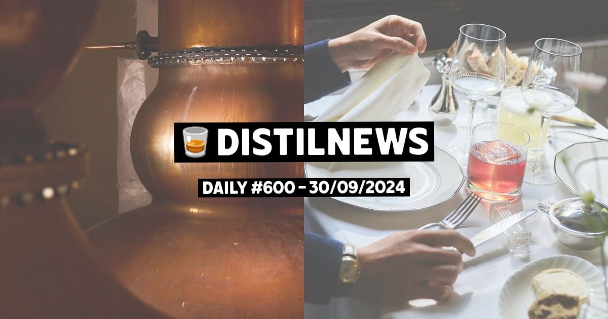 DistilNews Daily #600