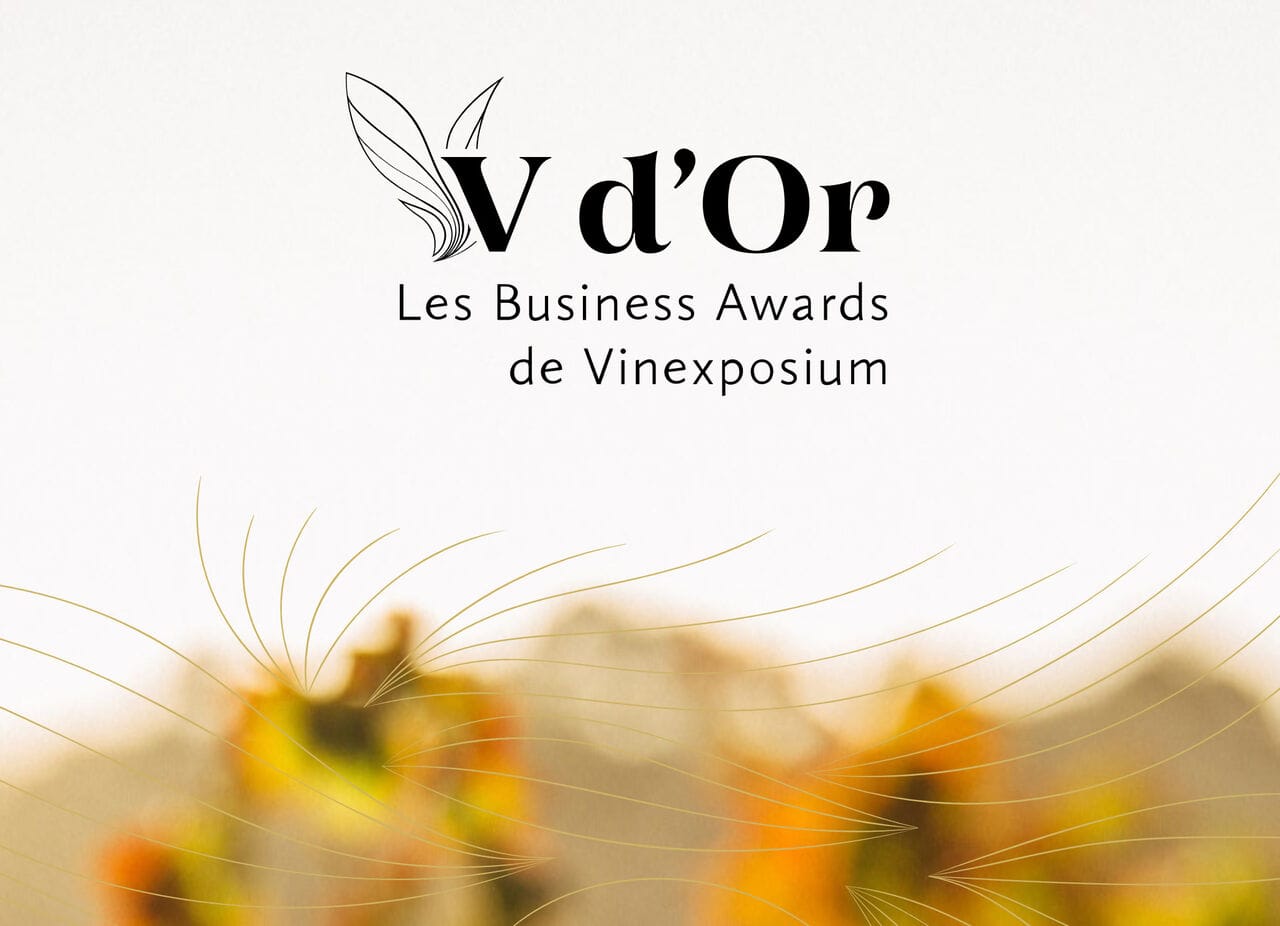 Les candidatures aux V d’Or sont ouvertes