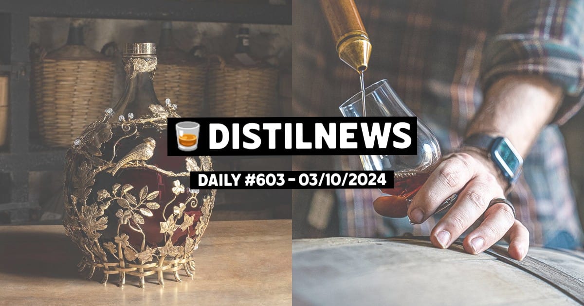 DistilNews Daily #603