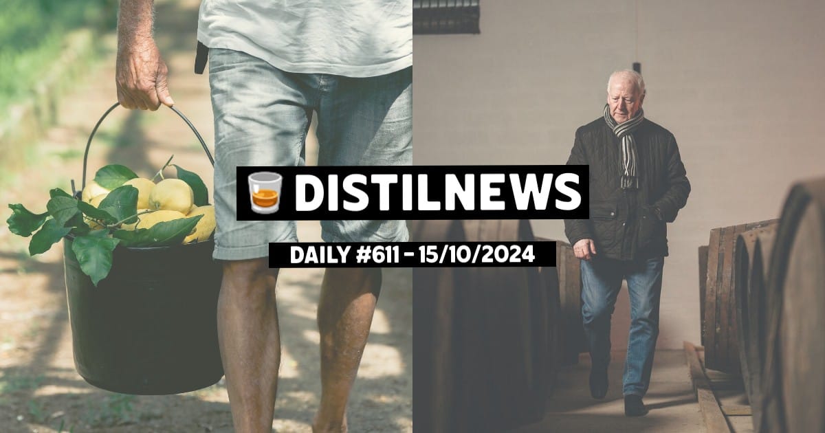 DistilNews Daily #611