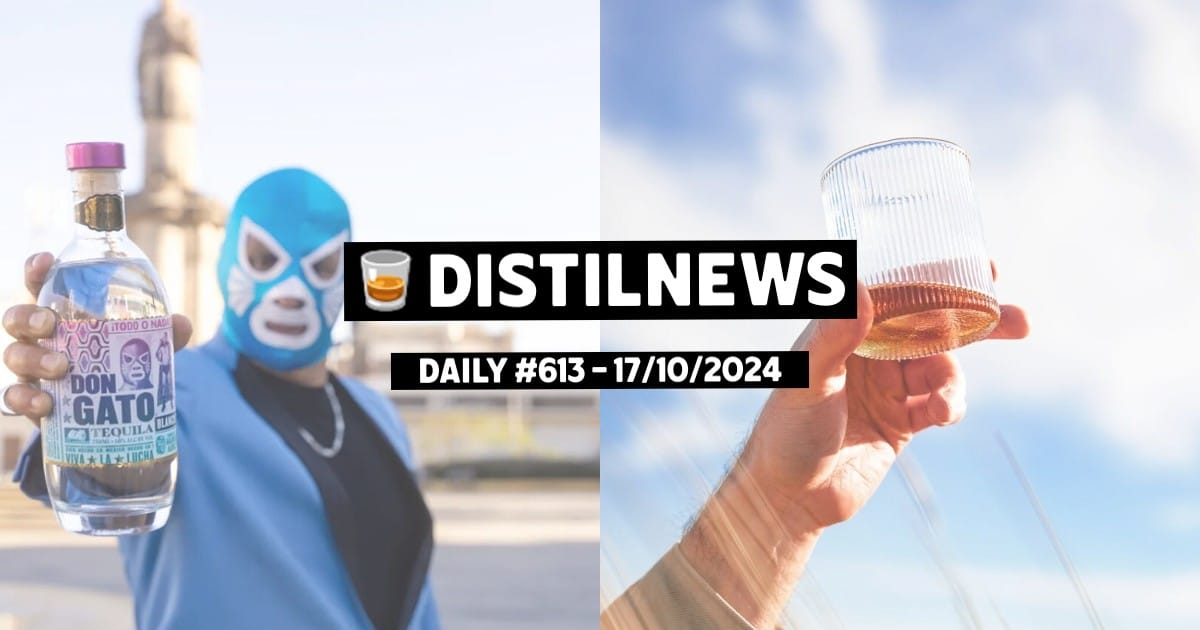 DistilNews Daily #613