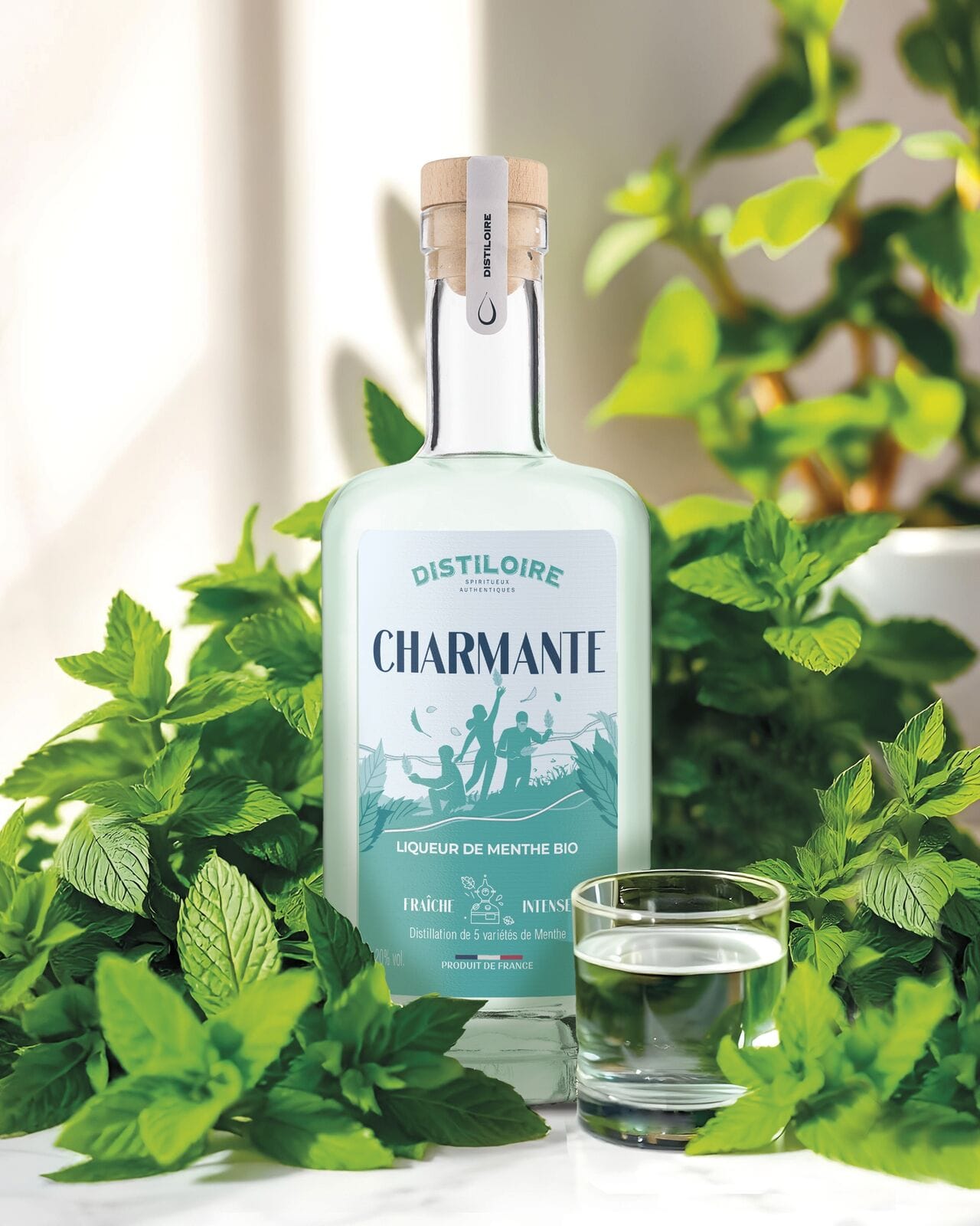 Charmante, la liqueur de menthe 100% bio et artisanale Distiloire