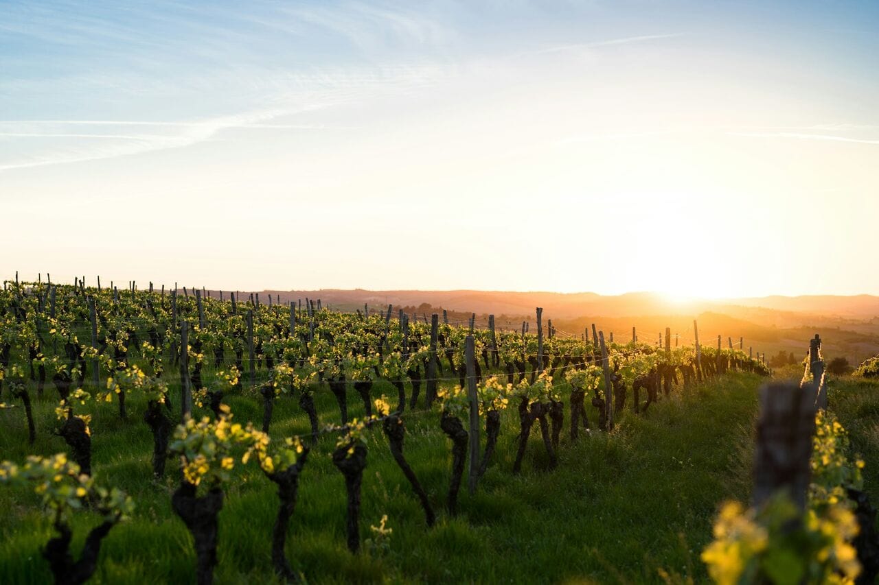 Création de la Maison des Vins & Spiritueux