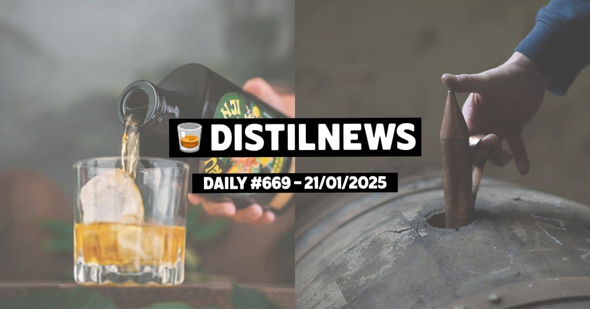 DistilNews Daily #669