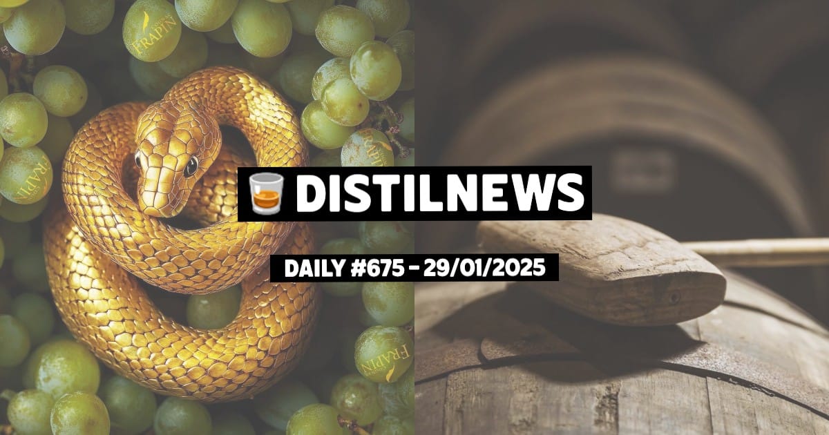 DistilNews Daily #675