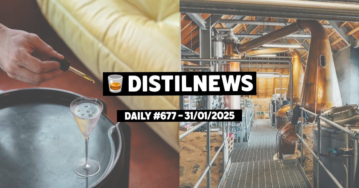 DistilNews Daily #677