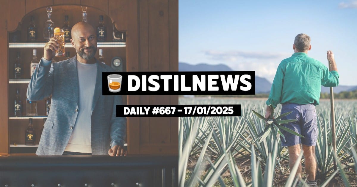 DistilNews Daily #667