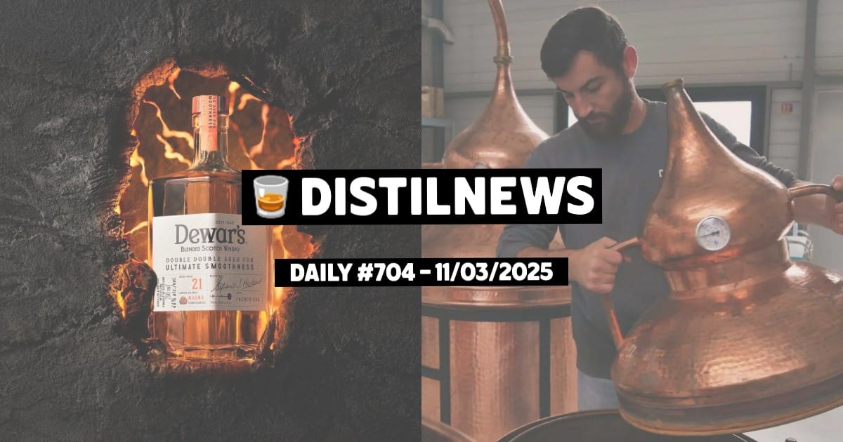 DistilNews Daily #704