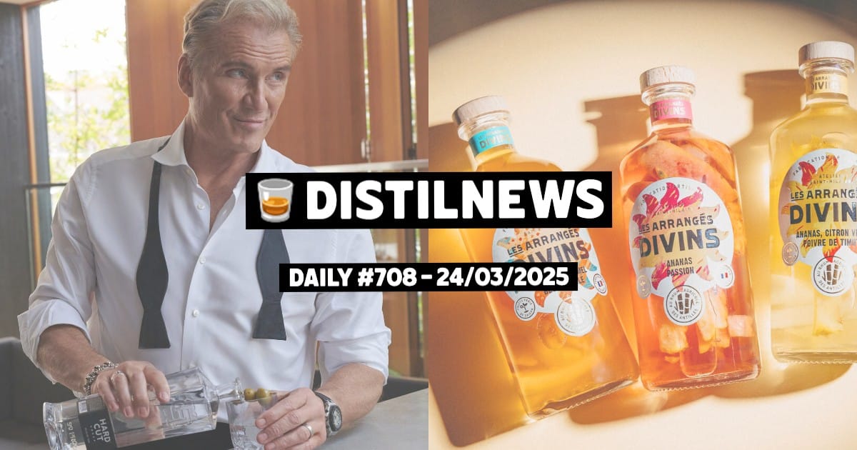 DistilNews Daily #708