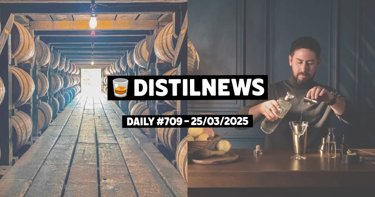 DistilNews Daily #709