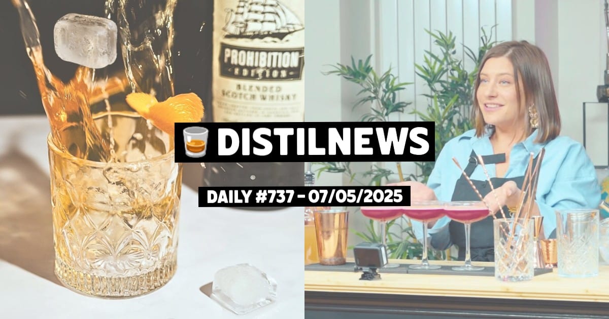 DistilNews Daily #737