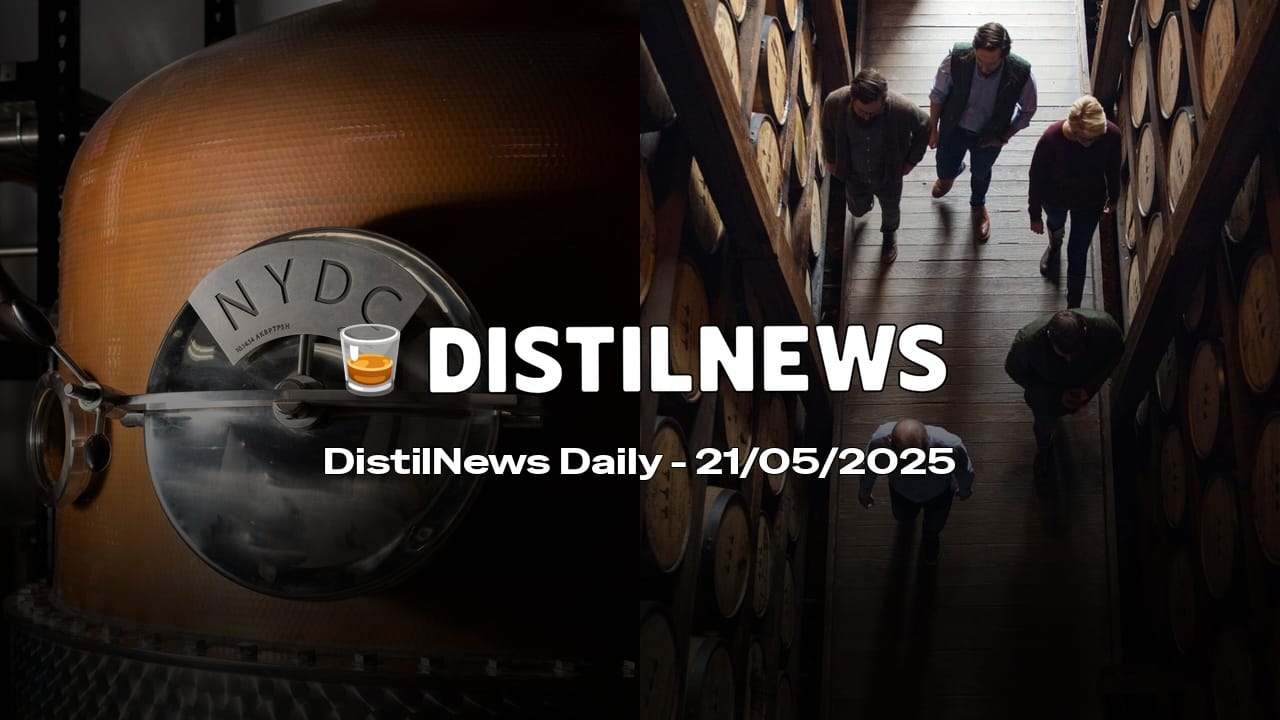 DistilNews Daily #745