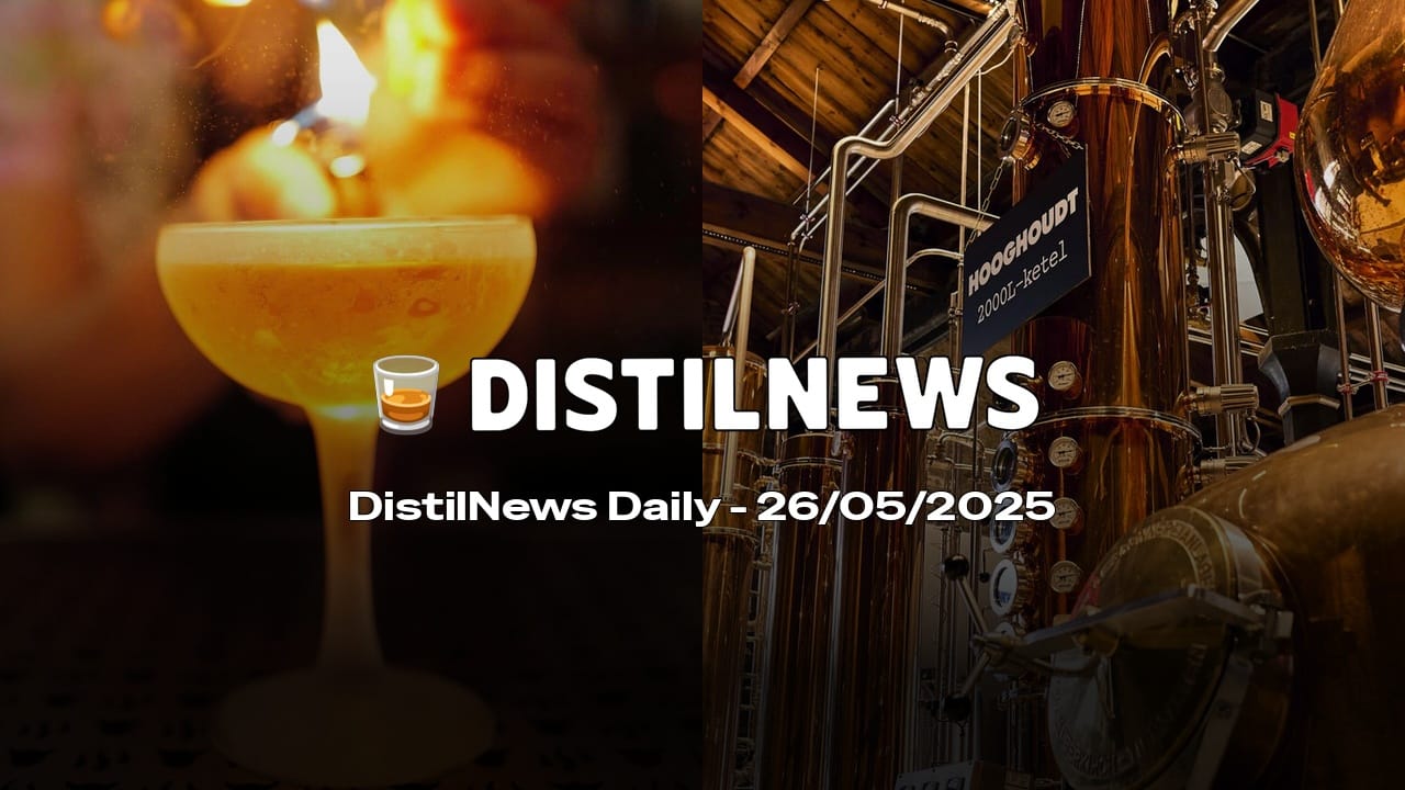DistilNews Daily #748