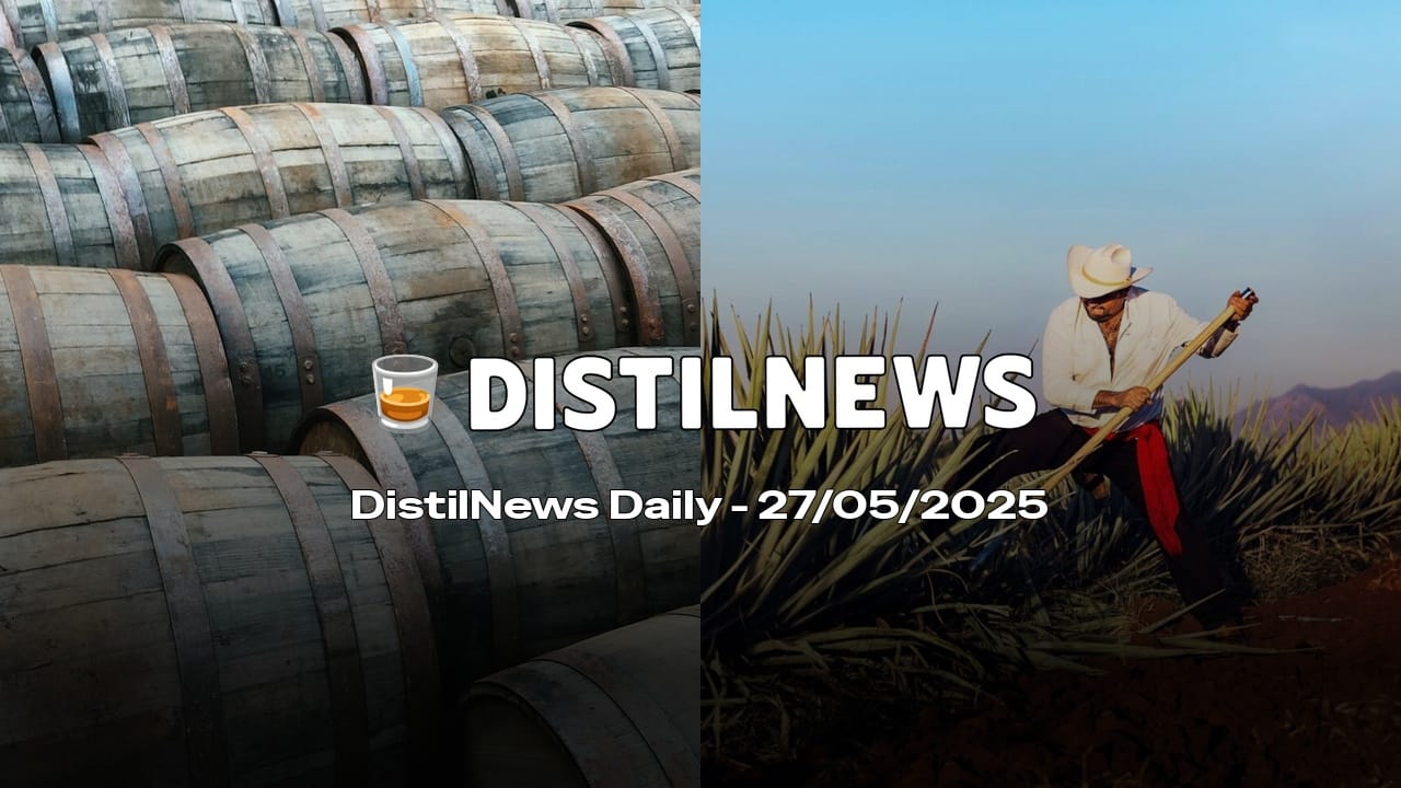 DistilNews Daily #749