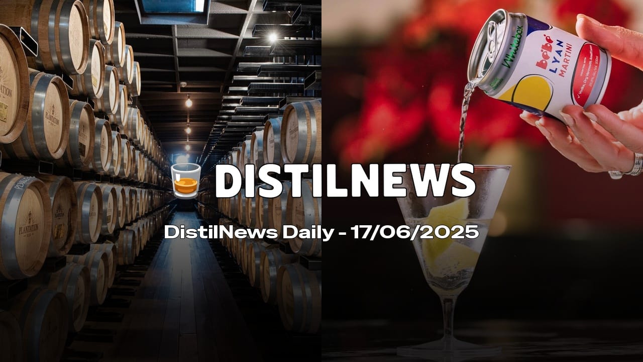 DistilNews Daily #761
