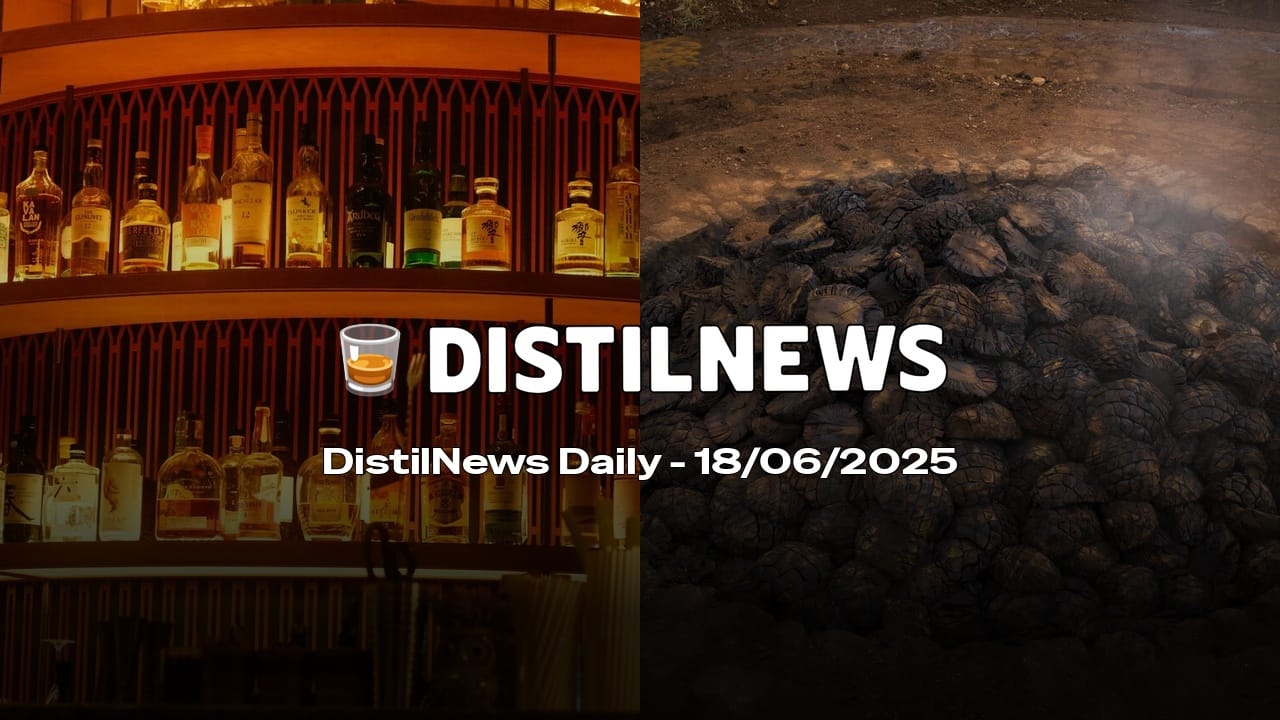 DistilNews Daily #762