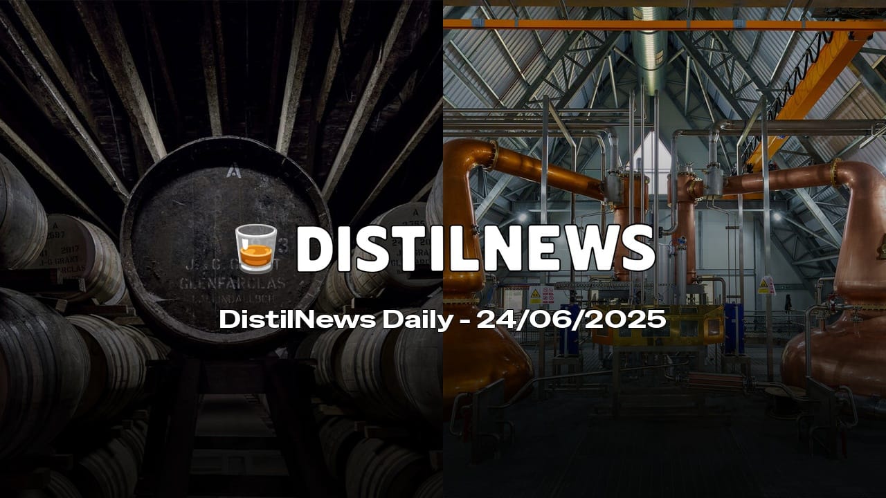 DistilNews Daily #763