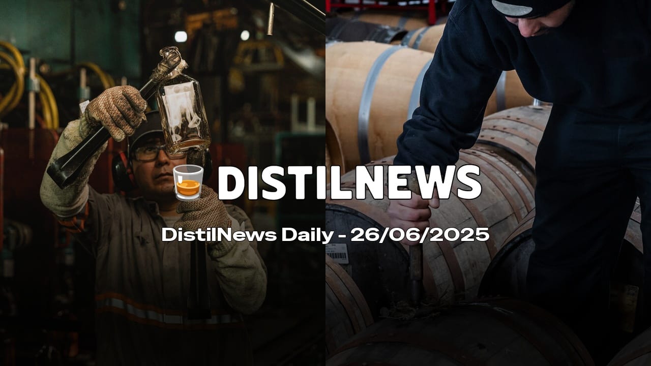 DistilNews Daily #765