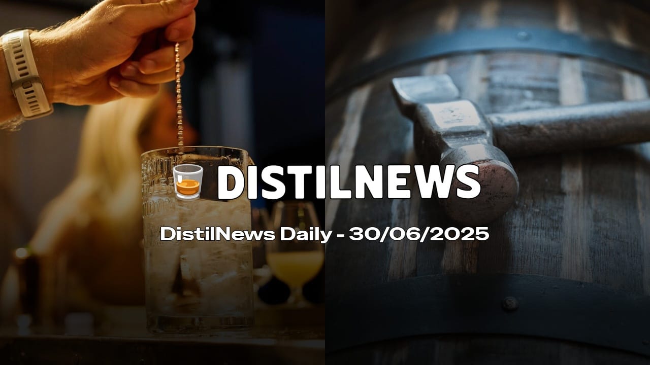 DistilNews Daily #767