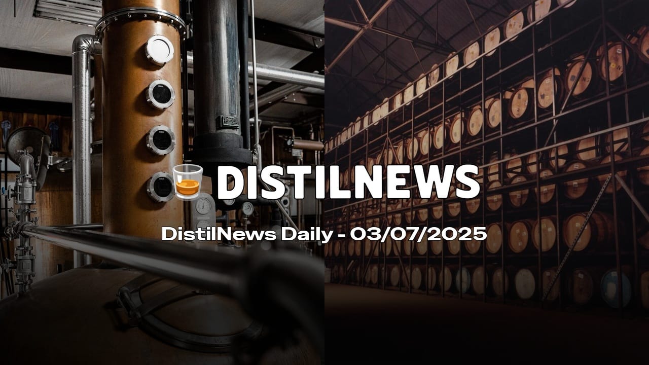 DistilNews Daily #770