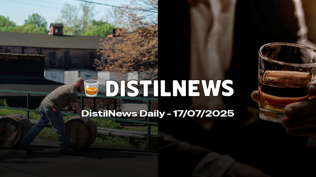 DistilNews Daily #779