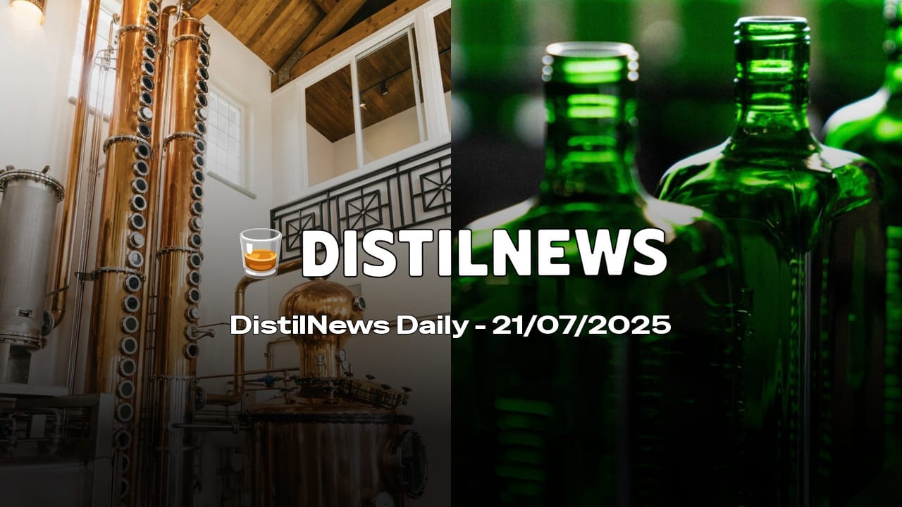 DistilNews Daily #781