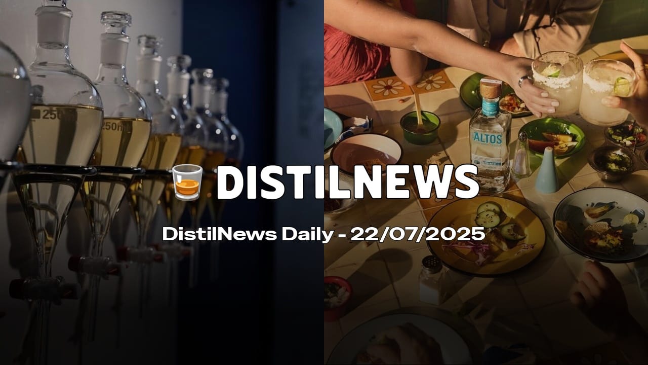 DistilNews Daily #782