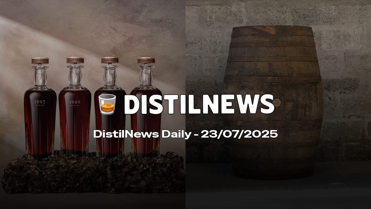 DistilNews Daily #783