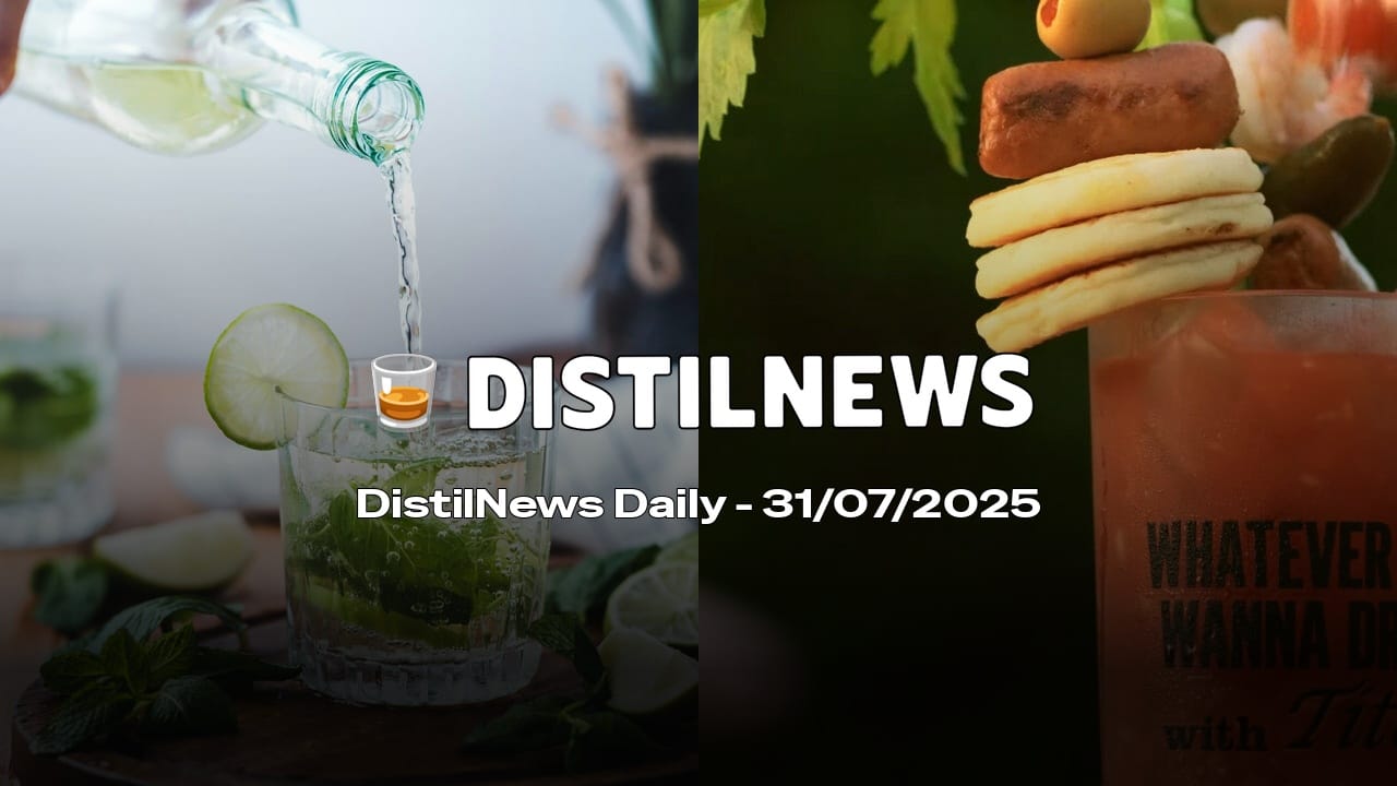 DistilNews Daily #789