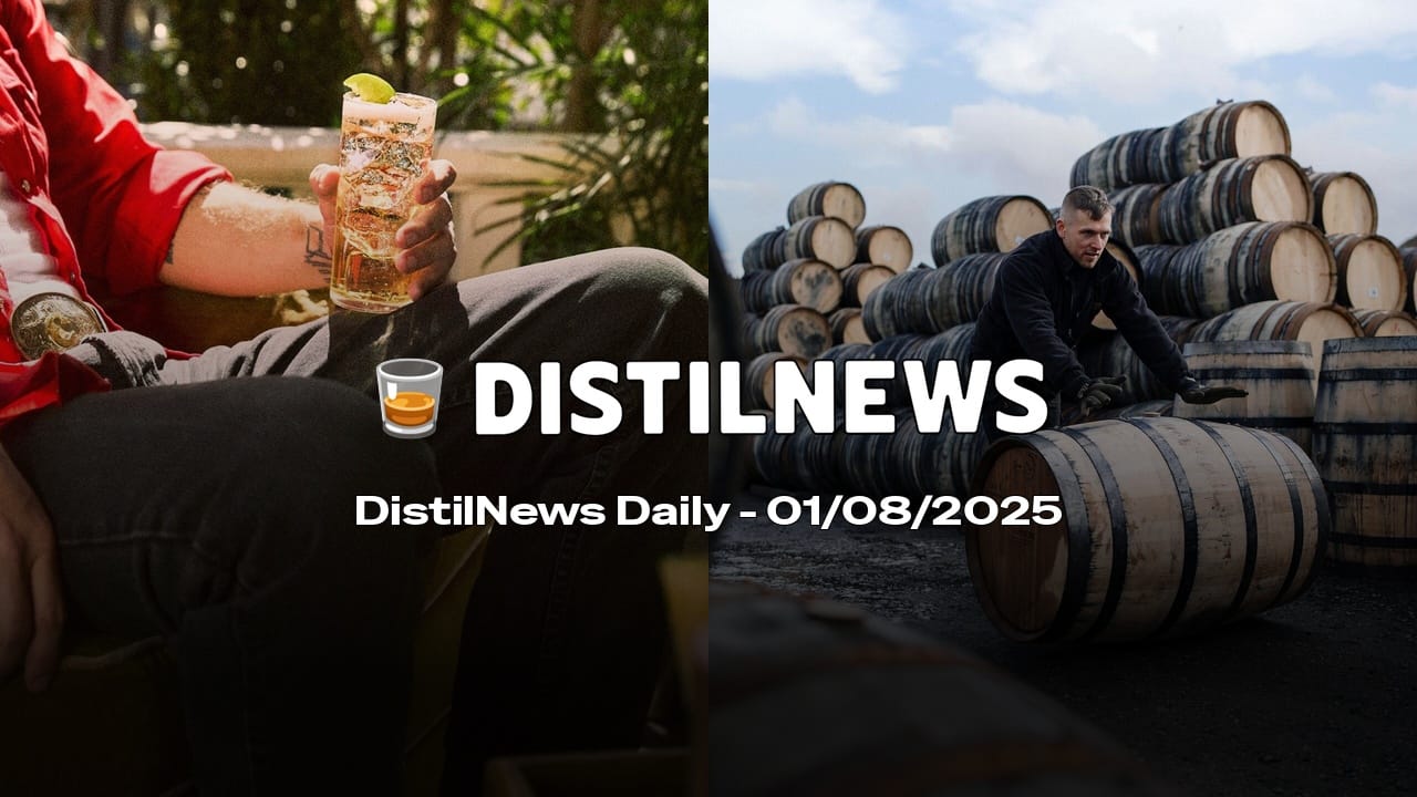 DistilNews Daily #790