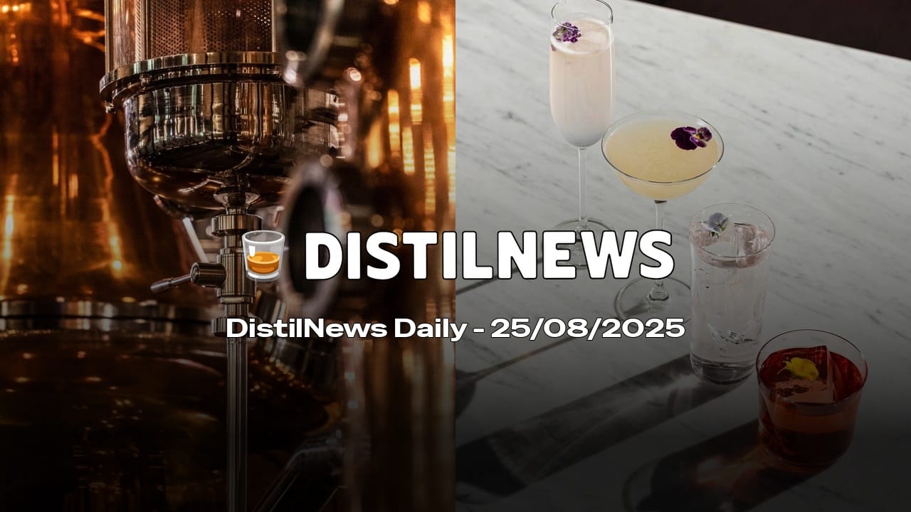 DistilNews Daily #796