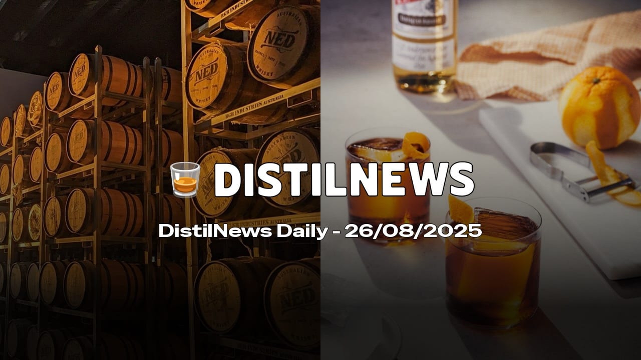 DistilNews Daily #797