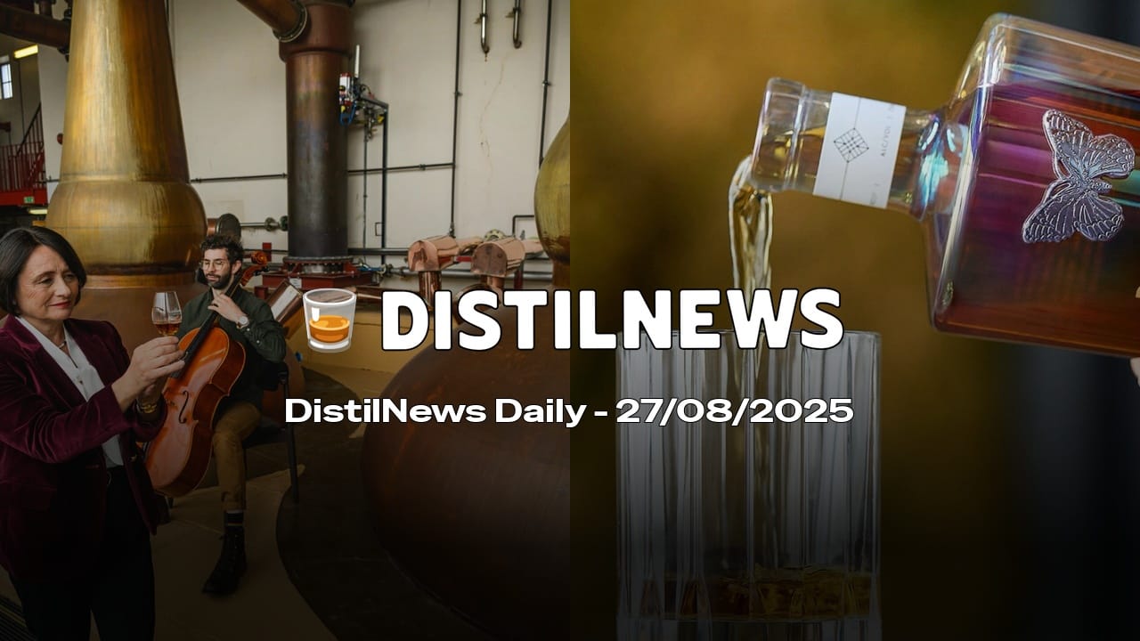 DistilNews Daily #798