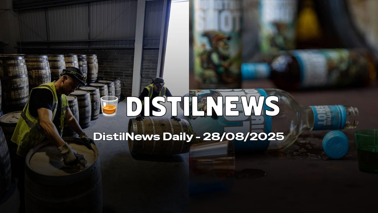 DistilNews Daily #799