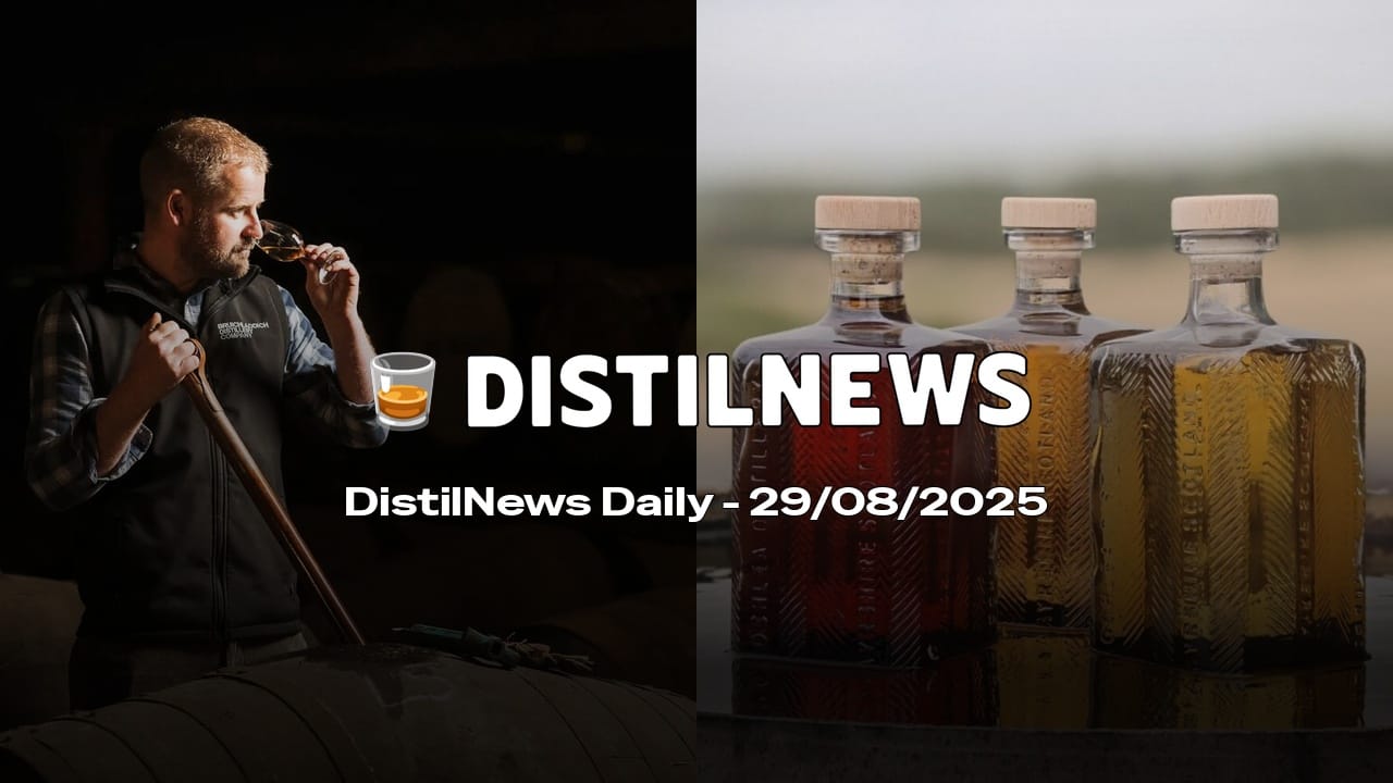 DistilNews Daily #800
