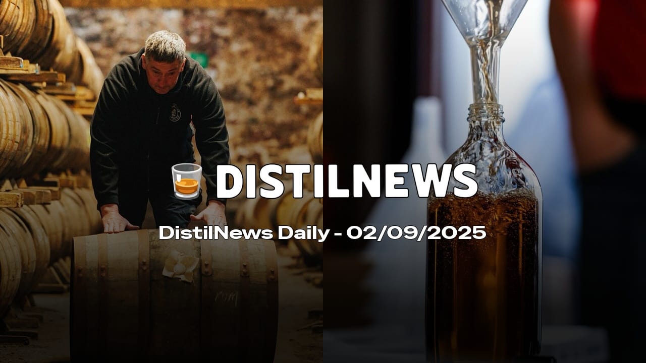 DistilNews Daily #802