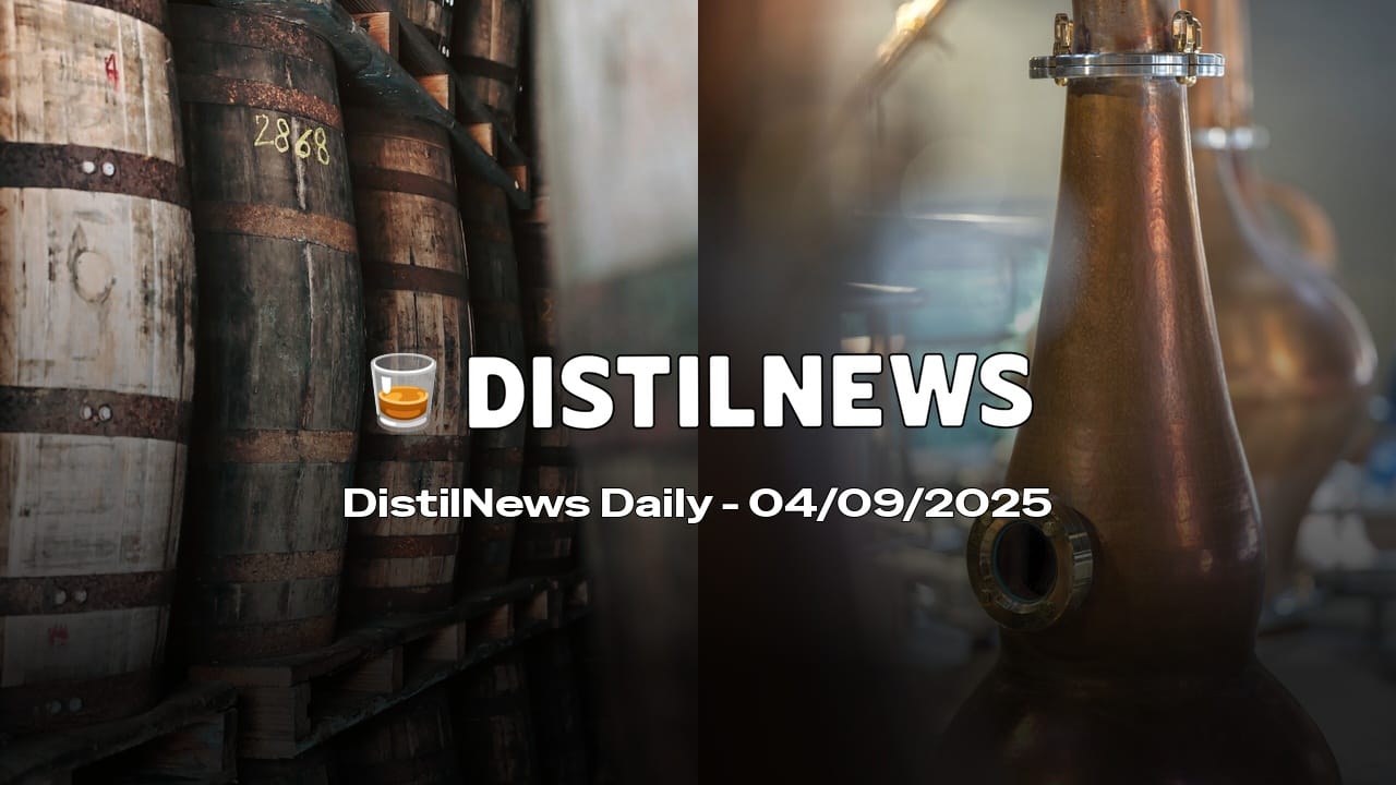 DistilNews Daily #804