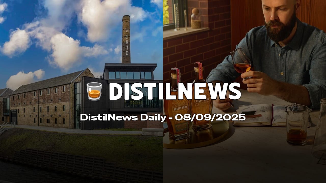 DistilNews Daily #806